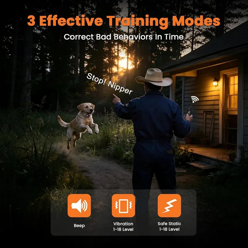 Aikko Dog Training Collar – Beep, vibration and shock modes