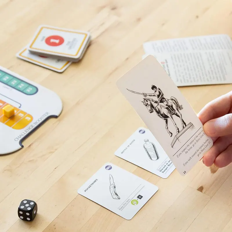 Asmodee Choose Your Own Adventure – The product ships with all relevant accessories