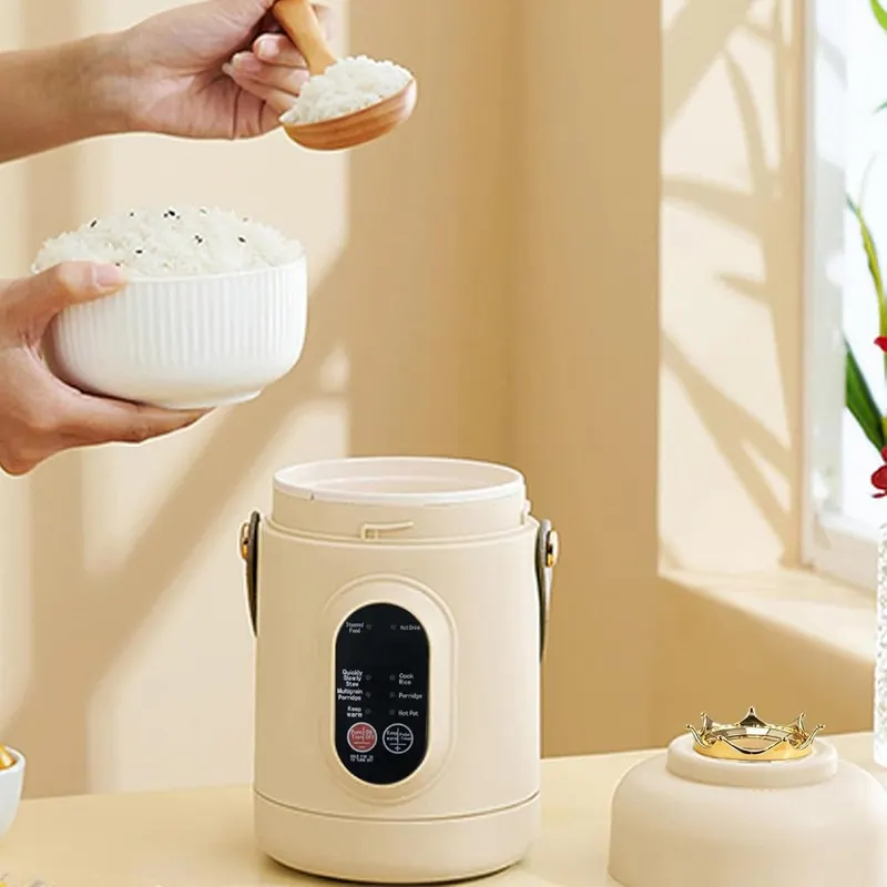 Aufmer Mini Electric Cooking Pot Portable Stainless – Multi-functional Rice Cooker