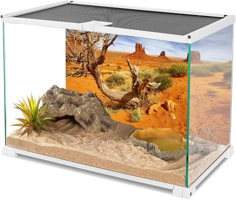 AWERT 48×20 in Terrarium Backdrop Orange Desert – product photo 3 of 4