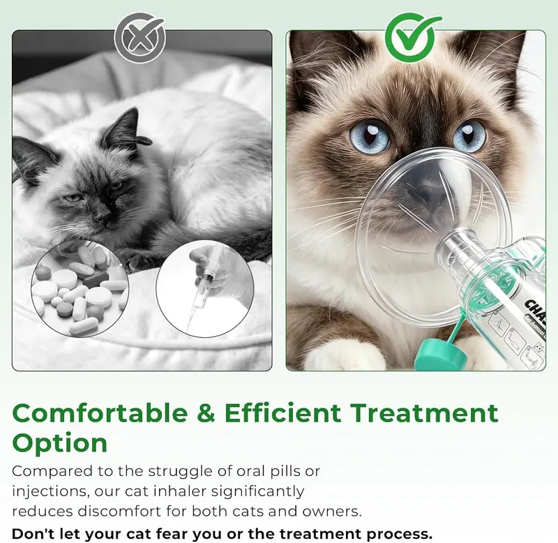 Chasyatzi Cat Inhaler Spacer – Antistatic PETG chamber