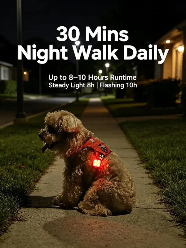 ChayWillow Rechargeable LED Dog Collar Light – product photo 8 of 8