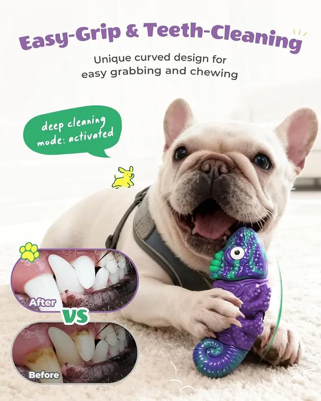 ChienBox Tough Dog Toys – product photo 6 of 9