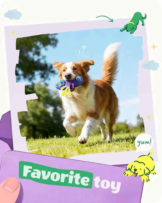 ChienBox Tough Dog Toys – product photo 8 of 9