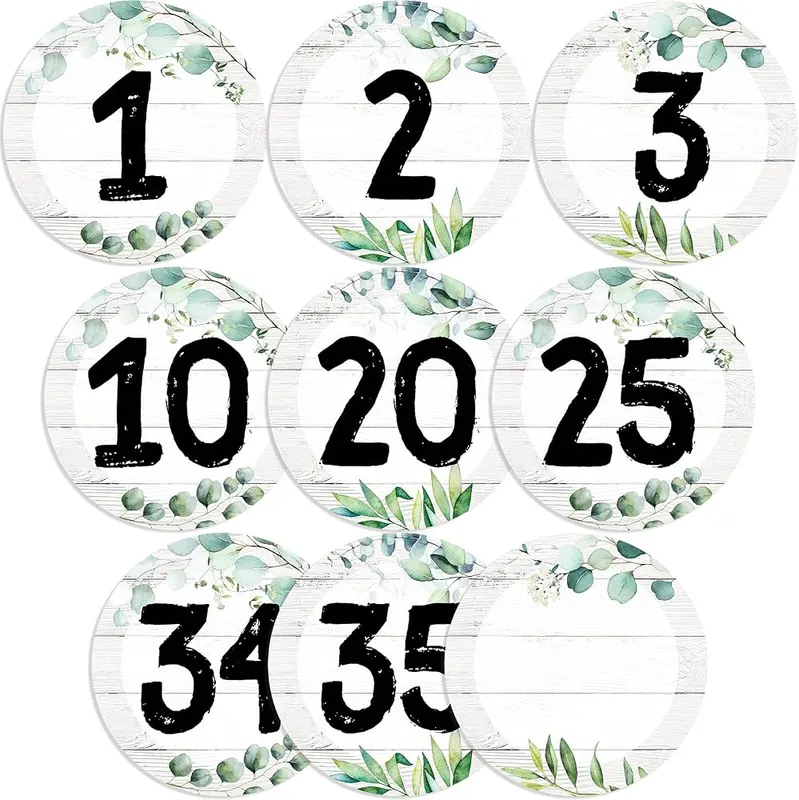 Chinco 40 Pieces Eucalyptus Laminated Numbers Cutouts