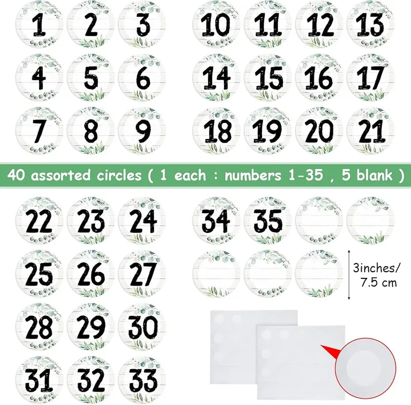 Chinco 40 Pieces Eucalyptus Laminated Numbers Cutouts – What You Will Get