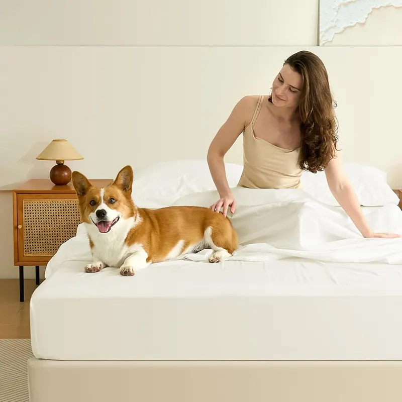 CieloCloud Twin Fitted Sheet Only – White color shown