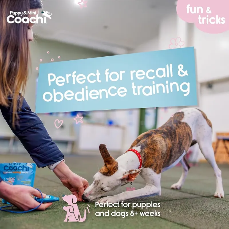 Company of Animals Coachi Puppy & Mini – Whistle and Clicker