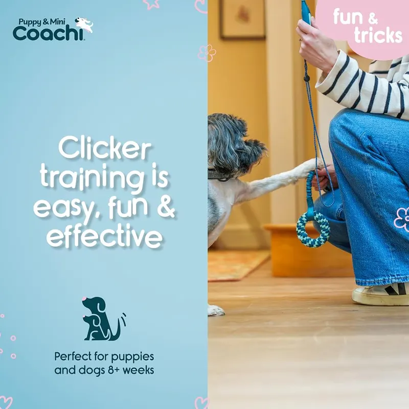Company of Animals Coachi Puppy & Mini – Recall Training