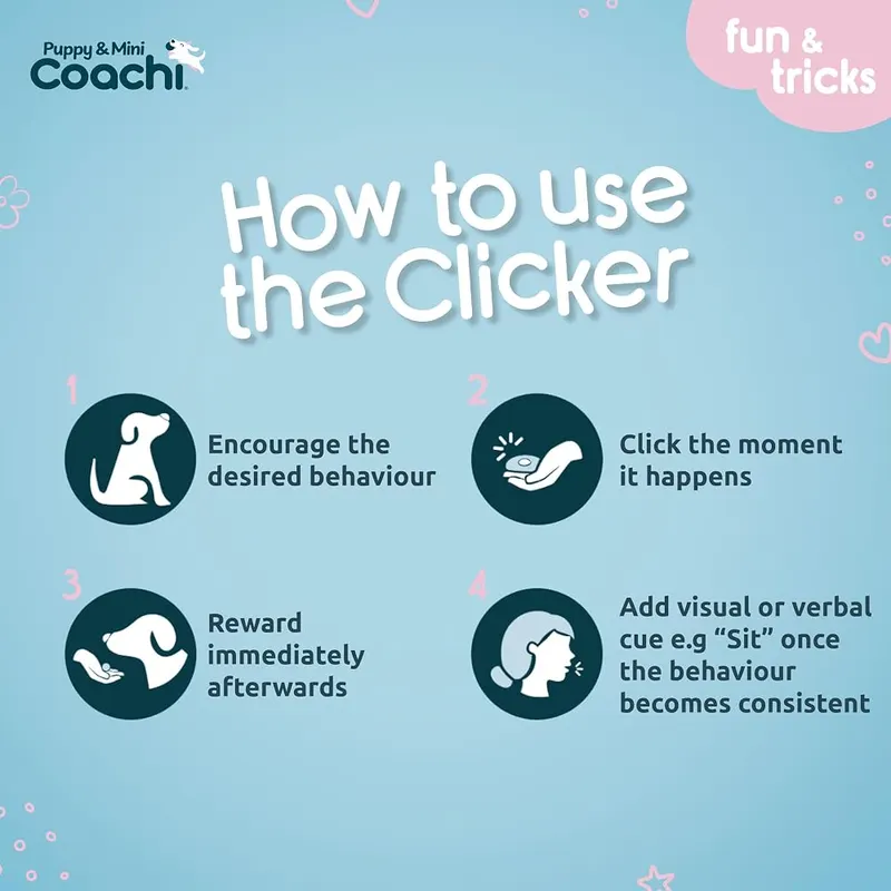 Company of Animals Coachi Puppy & Mini – Clicker Training