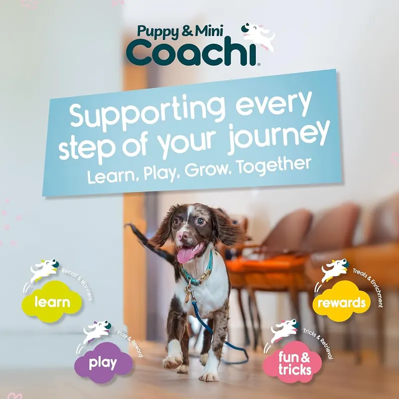 Company of Animals Coachi Puppy & Mini – Adjustable Lanyard