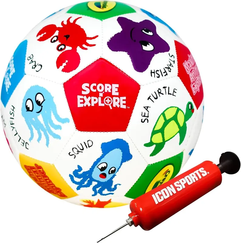 Crayola Official Soccer Ball
