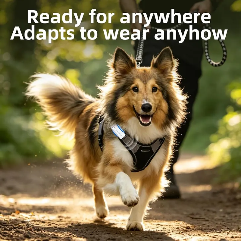 DBDD GPS Dog Tracker IP67 White – product photo 9 of 9
