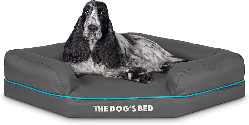 The Dog’s Bed Orthopedic Memory Foam Corner Dog