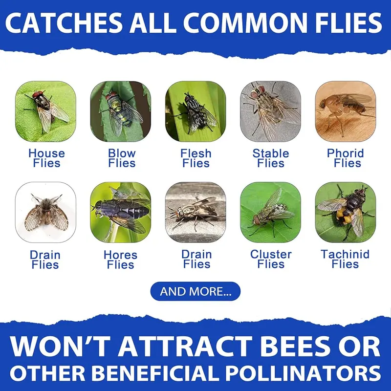 Dwcom Trap 12x30g Fly Bait Fly Trap Refill Packets – product photo 7 of 8