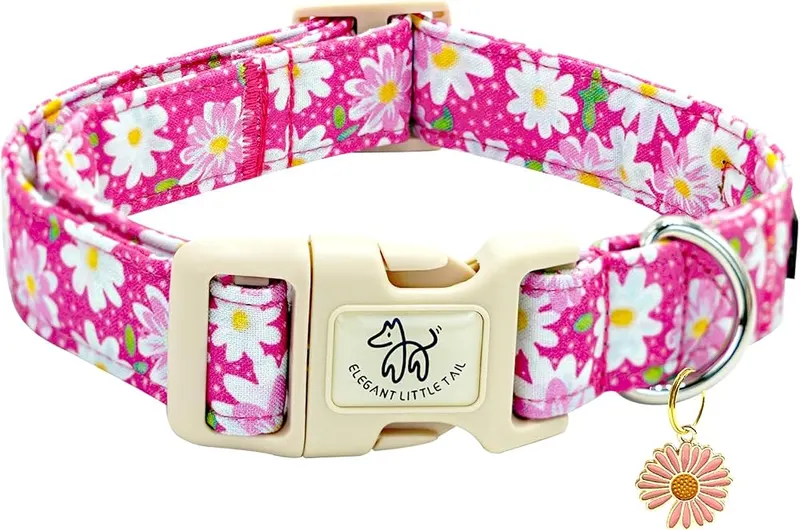 Elegant little tail Dog Collar