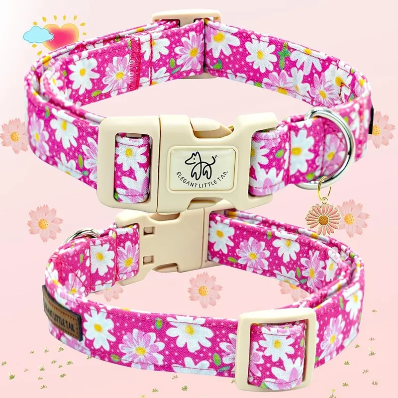 Elegant little tail Dog Collar – Dog Collar Size