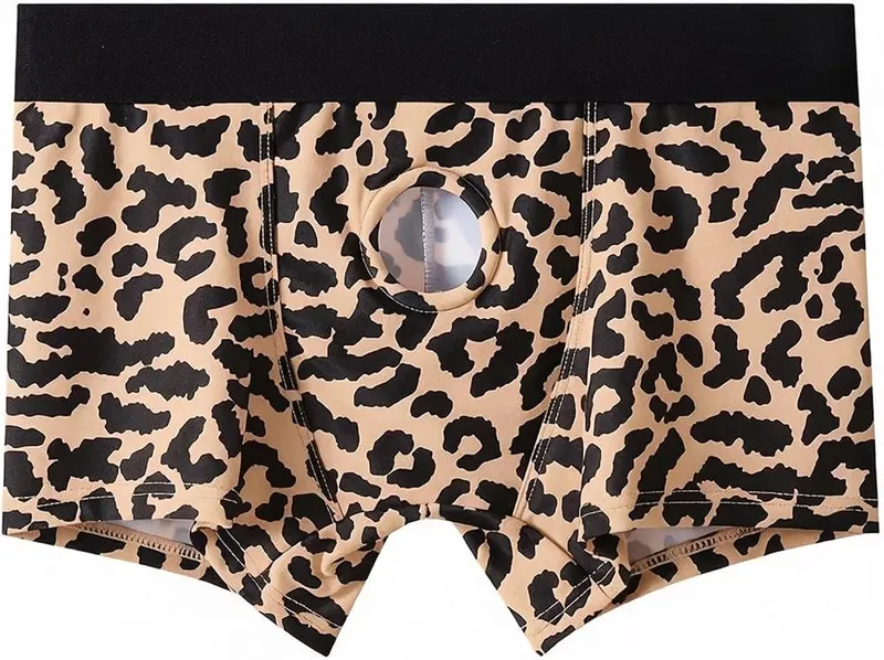 Generic Men’s Sexy Open Front Underwear Leopard – Size