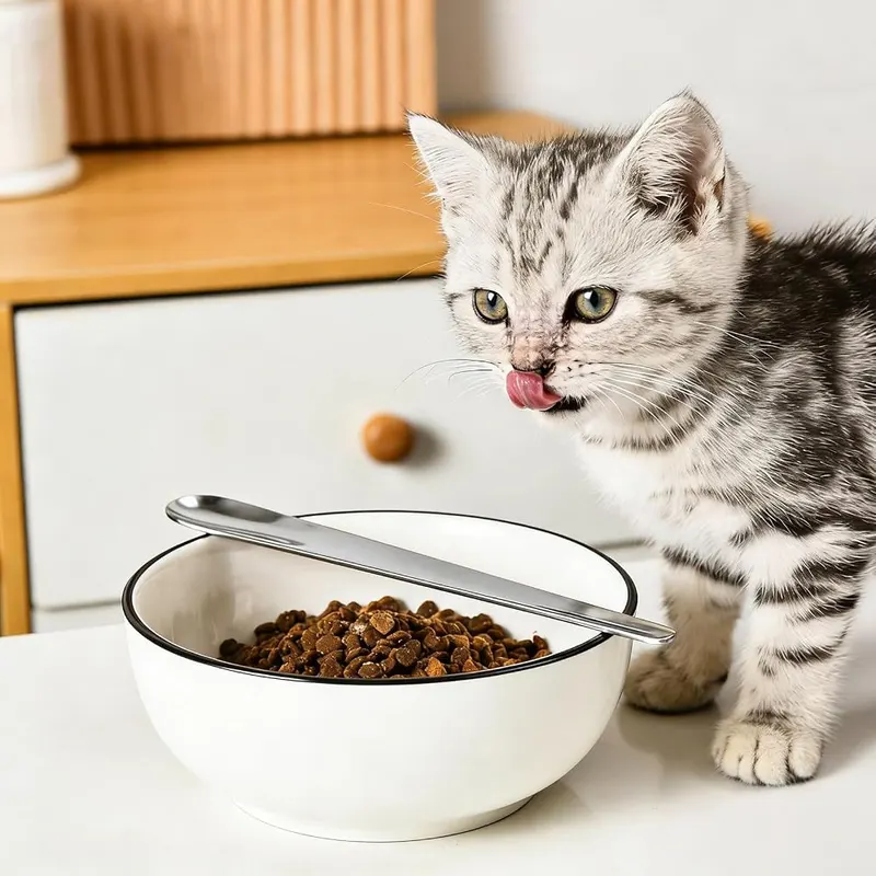 Generic Stainless Steel Cat Spoon – Ergonomic extended long handle