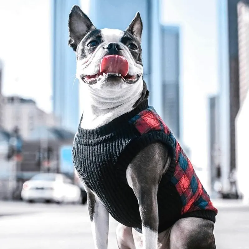 Gooby Fashion Vest Check Dog Jacket – product photo 6 of 6