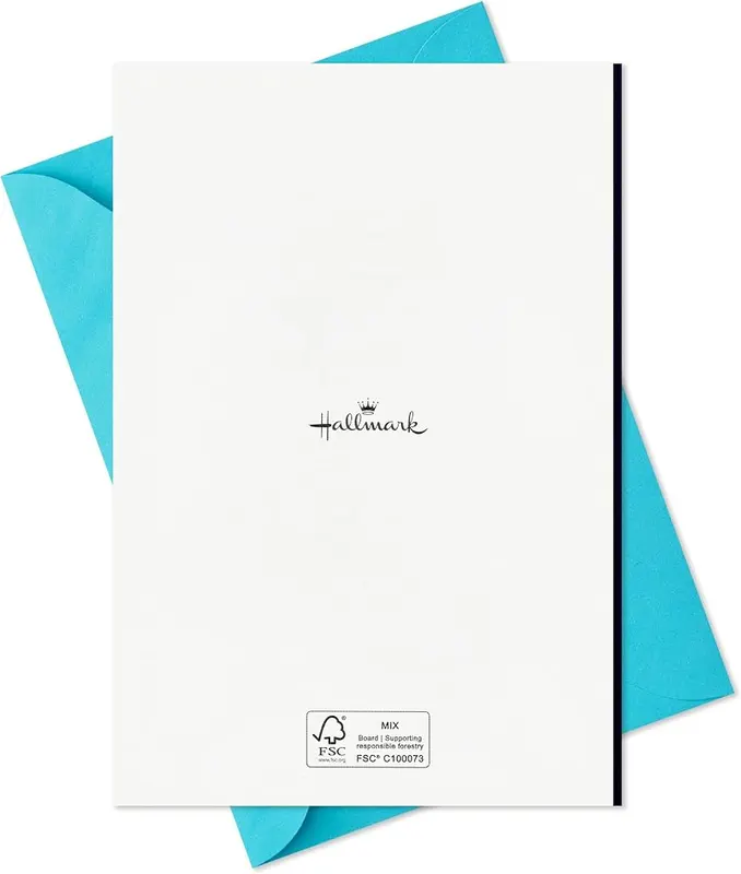 Hallmark Fathers Day Card Assortment – product photo 8 of 8