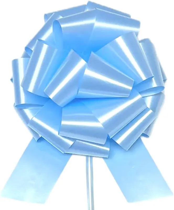 HSXJJ 9 Inch Large Sky Blue Gift
