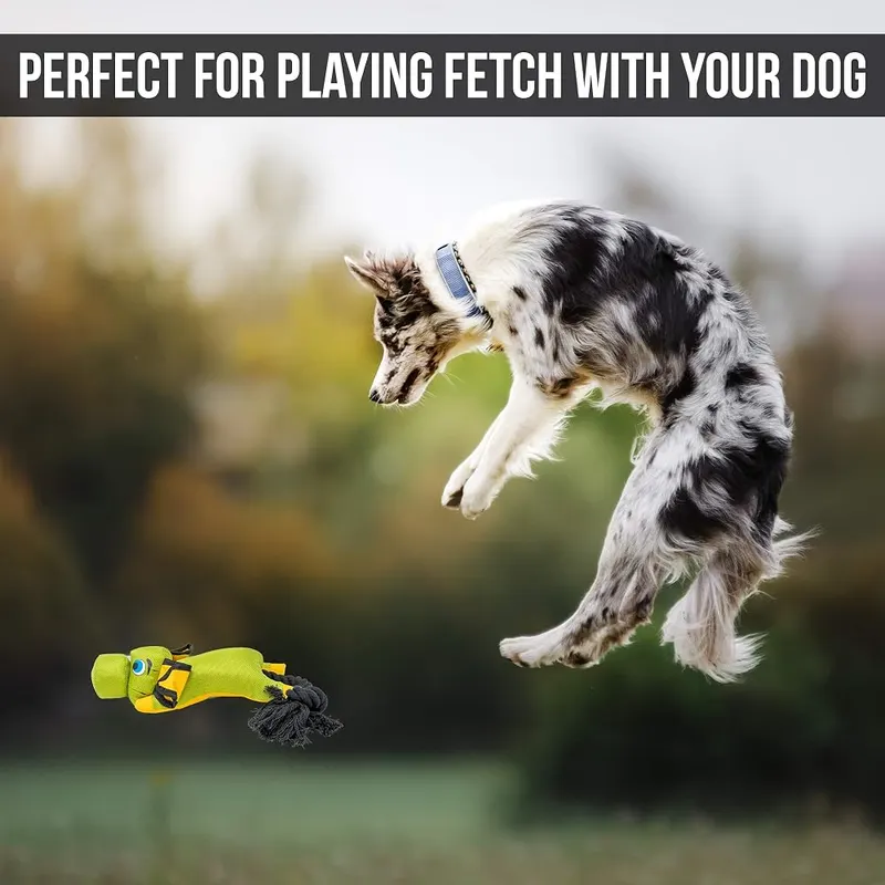 Hyper Pet Flying Series Fetching Dog Toy Slingshot – product photo 5 of 8