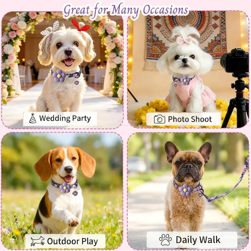 MUZIEBA Cute Dog Collar – Removable 3D purple fabric flower