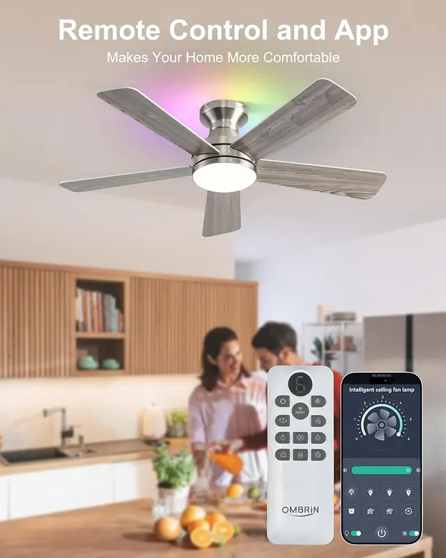 Ombrin 42 Inch Ceiling Fans 3CCT – product photo 6 of 7