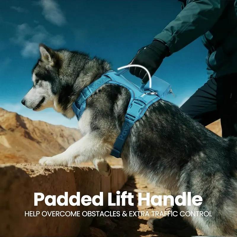 PawView No Pull Dog Harness Bondi Blue – Dual leash attachment points