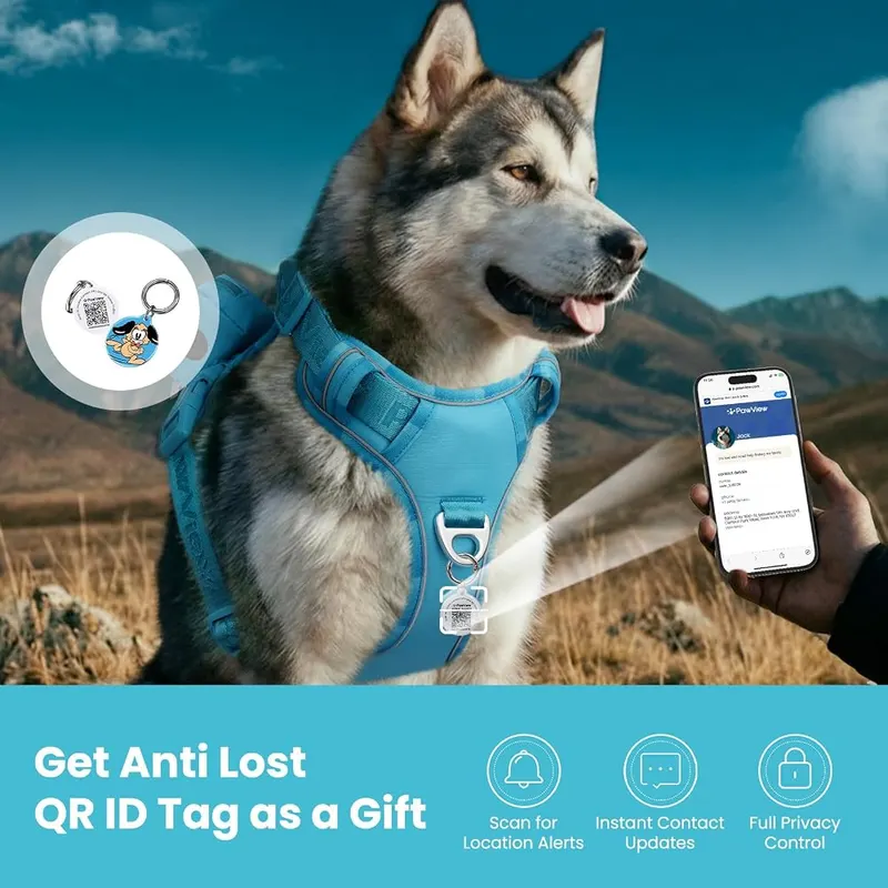 PawView No Pull Dog Harness Bondi Blue – product photo 7 of 9
