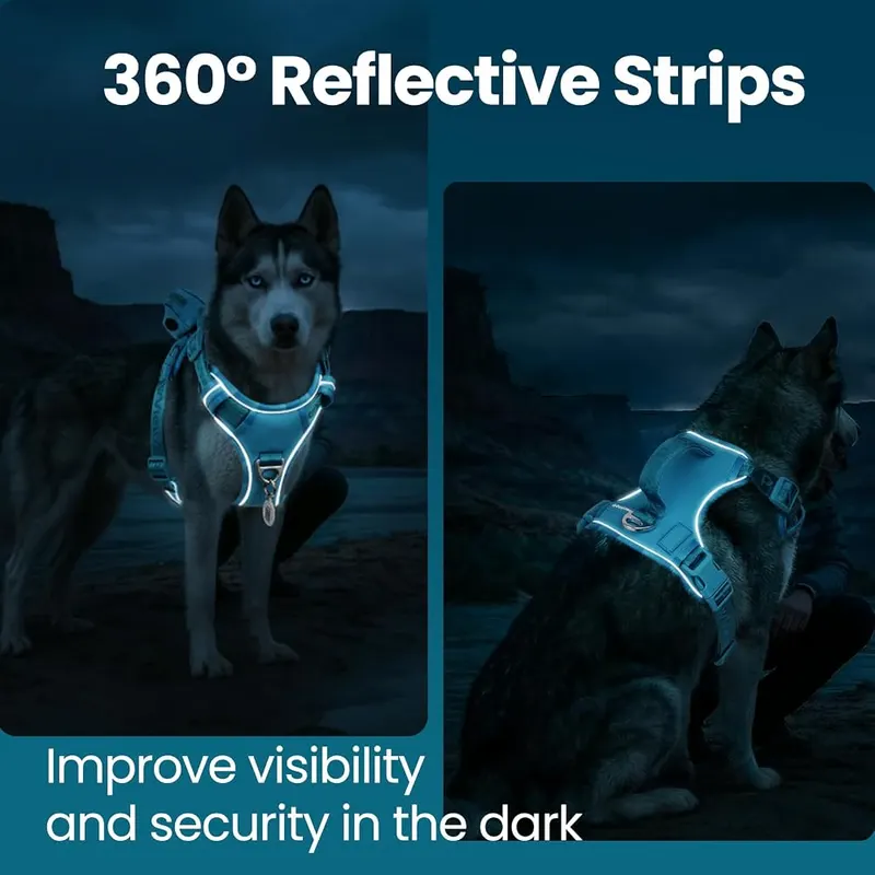 PawView No Pull Dog Harness Bondi Blue – product photo 8 of 9