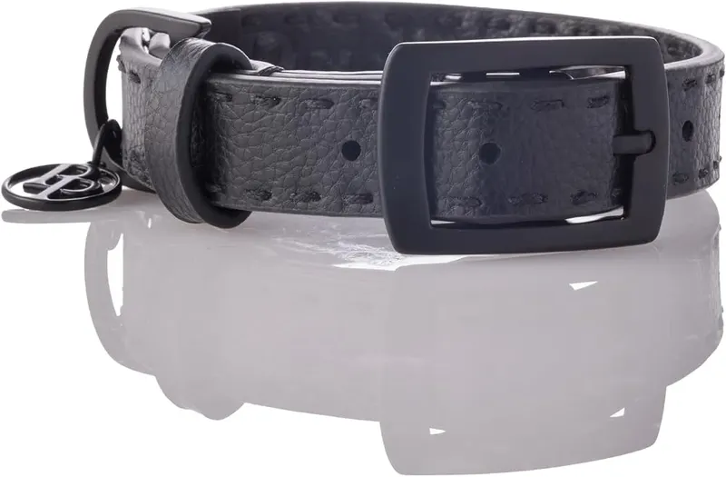 Pet Passion Rein Dog Collar in Black Beauty