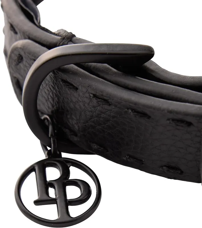 Pet Passion Rein Dog Collar – Designed for daily wear, the Rein Collar features