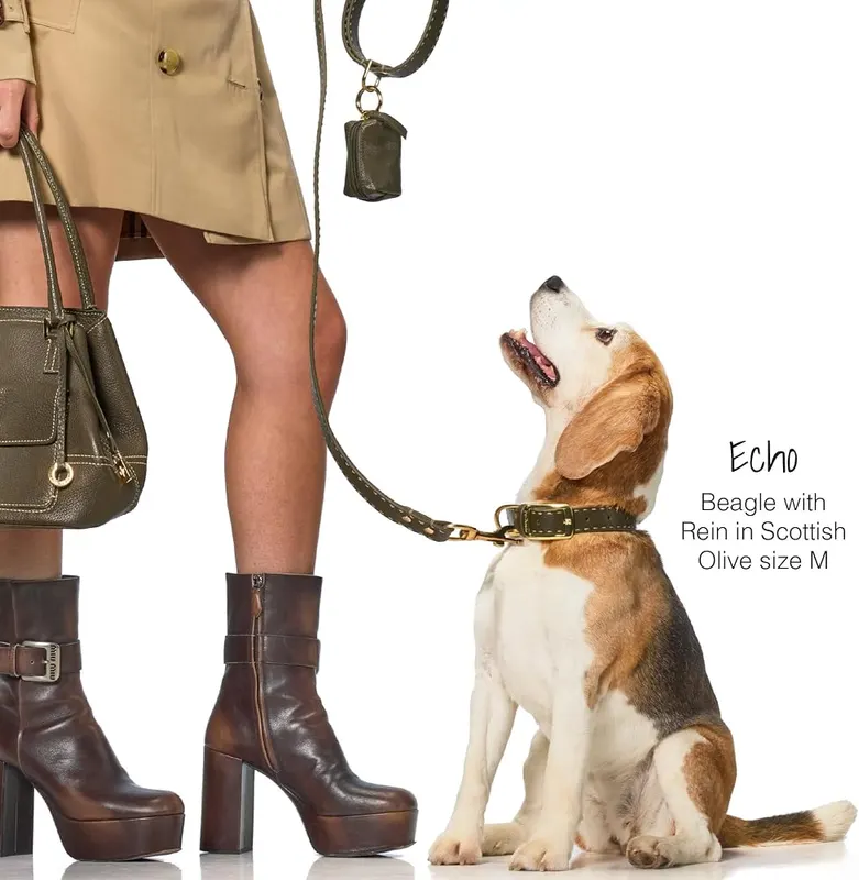 Pet Passion Rein Dog Collar – Pet Passion has you covered from the tiniest