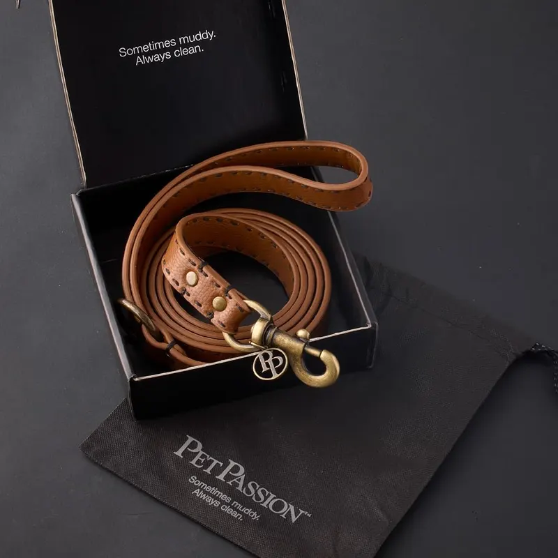 Pet Passion Rein Dog Leash – Style