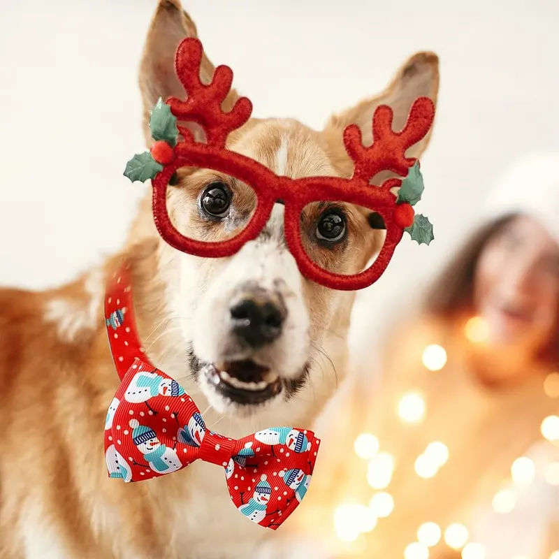 Pohshido Christmas Dog Collars – Removable Bow tie