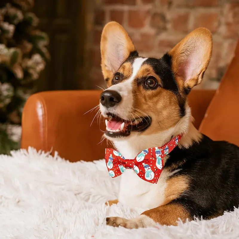 Pohshido Christmas Dog Collars – Value Packaging