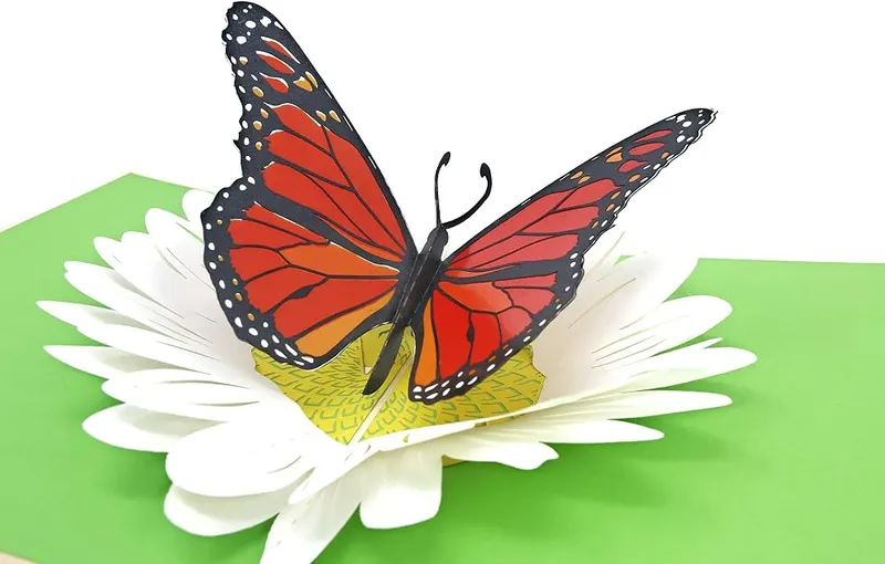 PopLife Monarch Butterfly & Daisy 3D Pop – THE PERFECT POPUP GREETING CARD for B-days