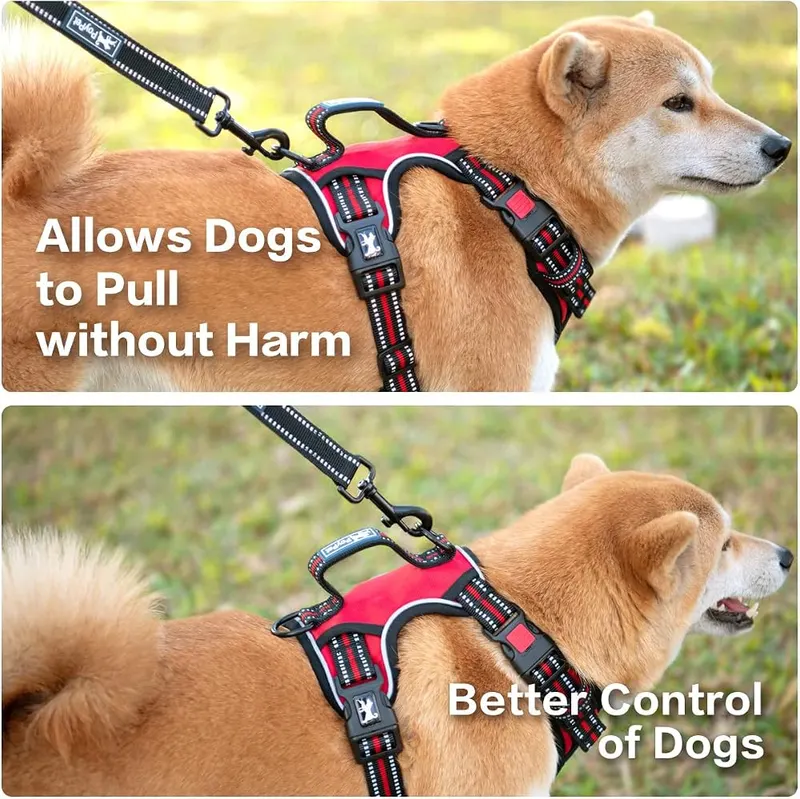 PoyPet No Pull Dog Harness – Easy on & Easy Off