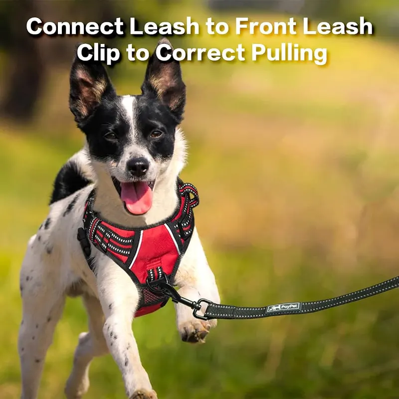 PoyPet No Pull Dog Harness – Reflective Straps for Safety