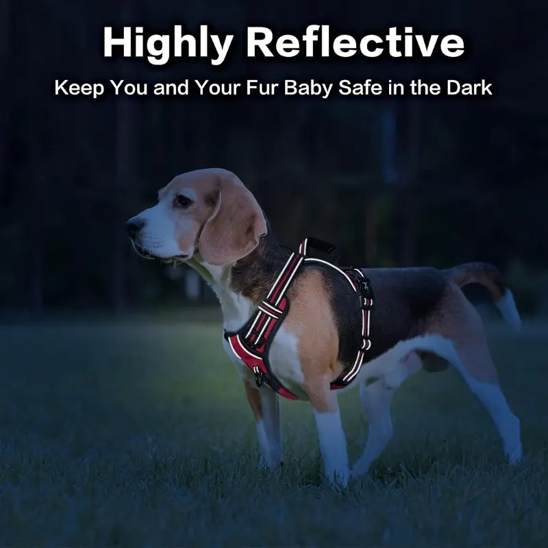 PoyPet No Pull Dog Harness – Fully Adjustable