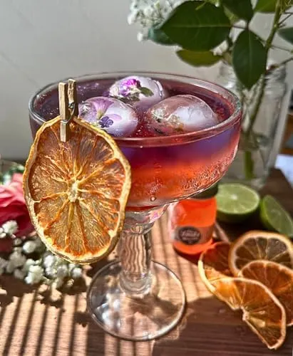 Preserved Peel Dried Citrus Slices – Suitable for home bars and events