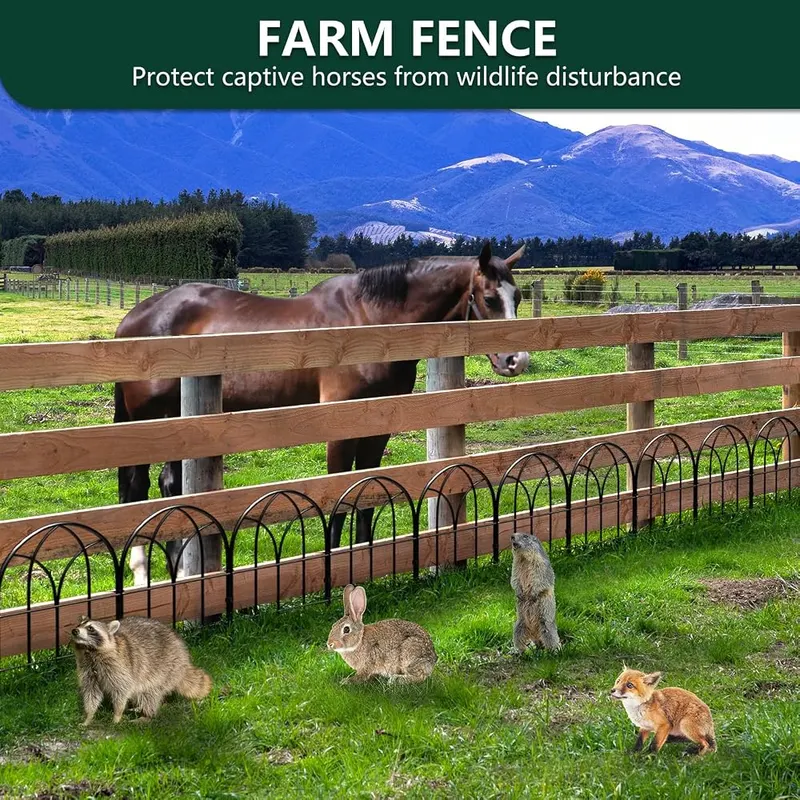 promitop Decorative Garden Fence – Straight, curved, or corner layouts