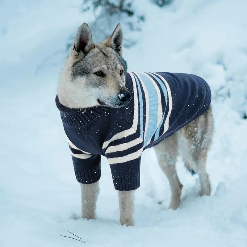 Queenmore Dog Striped Knitted Sweater 2XL – Sweaters for All Sized Dogs - Queenmore dog