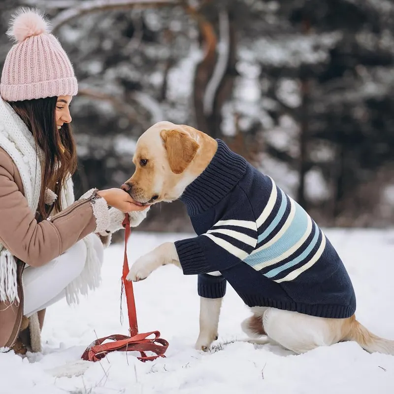 Queenmore Dog Striped Knitted Sweater 2XL – product photo 7 of 9