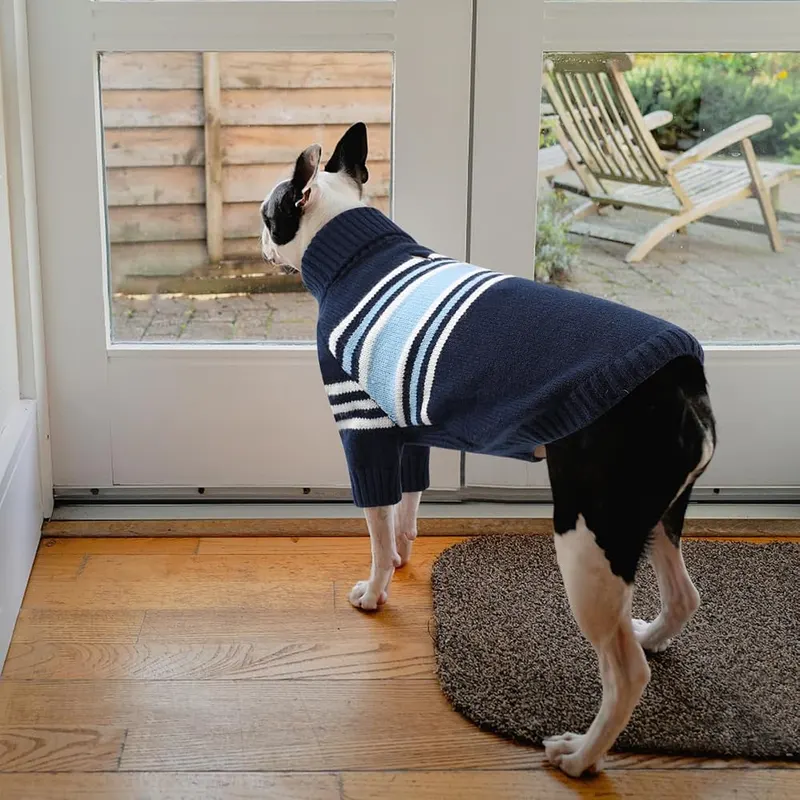 Queenmore Dog Striped Knitted Sweater 2XL – product photo 9 of 9