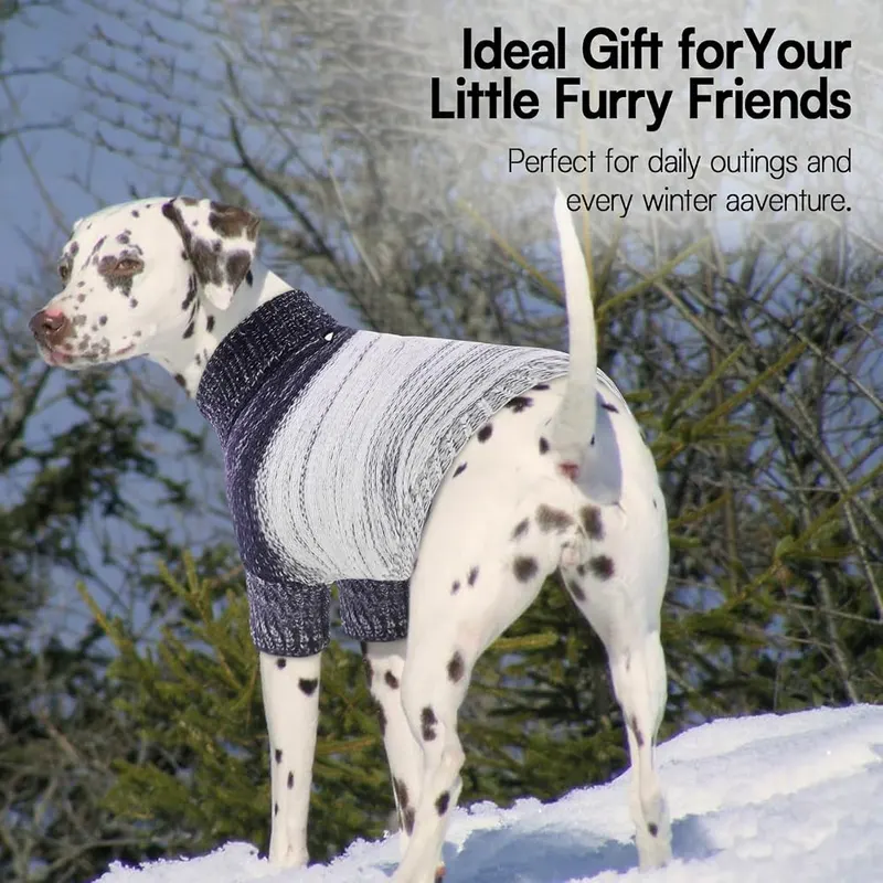 Queenmore Small Dog Sweater – product photo 7 of 7