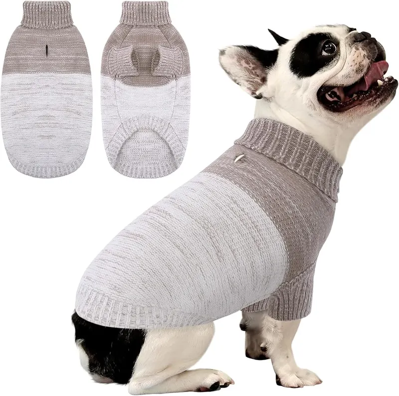 Queenmore Small Dog Sweater