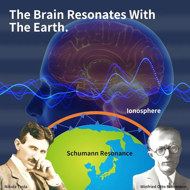 Saber-toothed Tiger Schumann Waves Generator – product photo 7 of 7